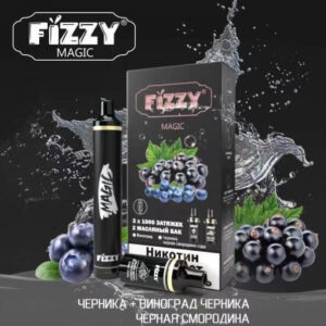Устройство FIZZY Magic (Виноград-Черника, чёрная смородина) 2x1000тяг